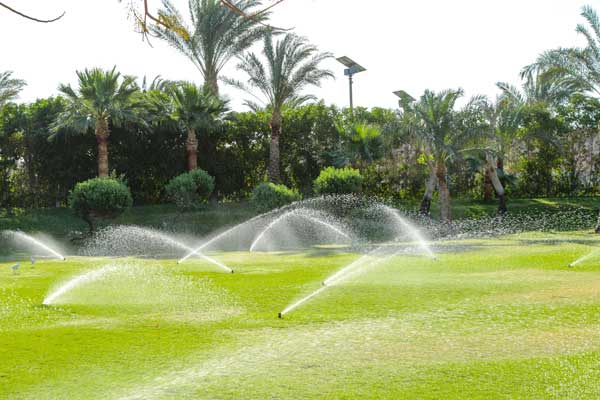 Irrigation Experts In Orlando FL