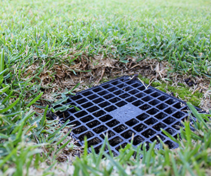 Drain in a yard. Grasshoppers provides quality irrigation drainage solutions in Orlando FL.