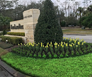 Flowers surrounding sign. Grasshoppers provides expert landscape design in Orlando FL.