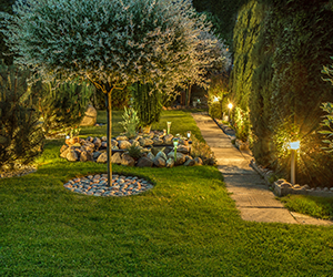 Lights illuminating pathway and landscape. Grasshoppers, outdoor lighting contractors in Orlando FL, provides expert landscape lighting services.