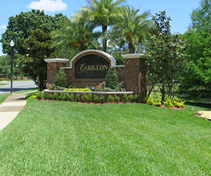 Beautiful green lawn. Grasshoppers provides commercial landscape maintenance services in Orlando FL.
