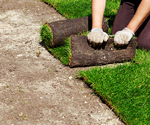 Sod Installation provided by Grasshoppers in Orlando Florida