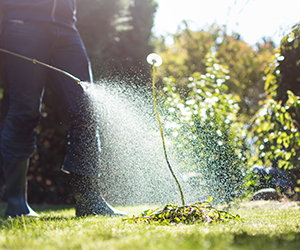 Person watering plants. Grasshoppers provides expert weed control services in Orlando FL.