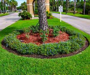 HOA Landscapers in Orlando FL - Grasshoppers Lawn Services for HOAs