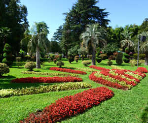 Commercial flower beds provided by Grasshoppers in Orlando and Oviedo FL
