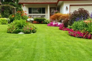 Beautifully landscaped lawn. Grasshoppers talks about the benefits of hiring a landscaping company for HOA properties in Orlando FL