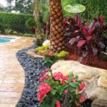 tropical hardscaping design creates colorful contrast in longwood florida backyard