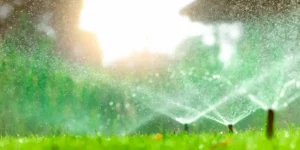 Irrigation sprinklers watering lawn. Grasshoppers Landscaping serving Orlando FL talks about the importance of maintaining your irrigation. in Orlando, FL