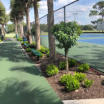 Grasshoppers Commercial Landscaping Portfolio in Orlando FL & Longwood FL