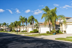 Florida homes with palm trees. Grasshoppers serving Orland FL & Longwood FL offers helpful tips for winter tree care in FL.