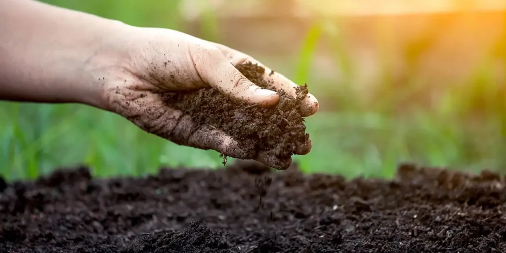 A person taking a handful of rich dirt in Orlando, FL