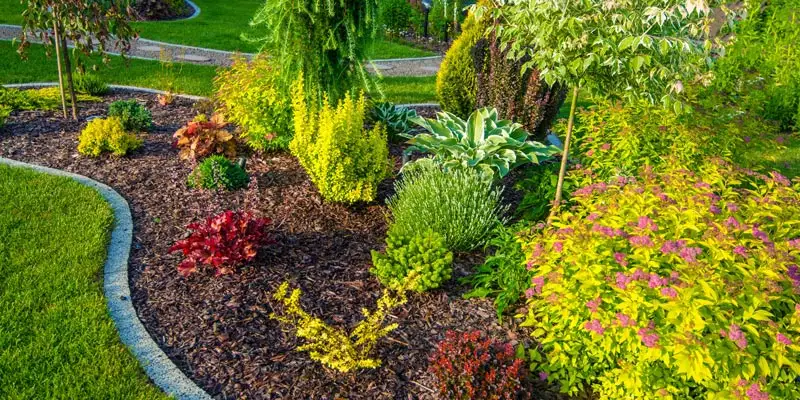 Landscaped bushes and plants in Orlando, FL