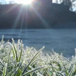 Frost on grass with sun shining in Orlando, FL