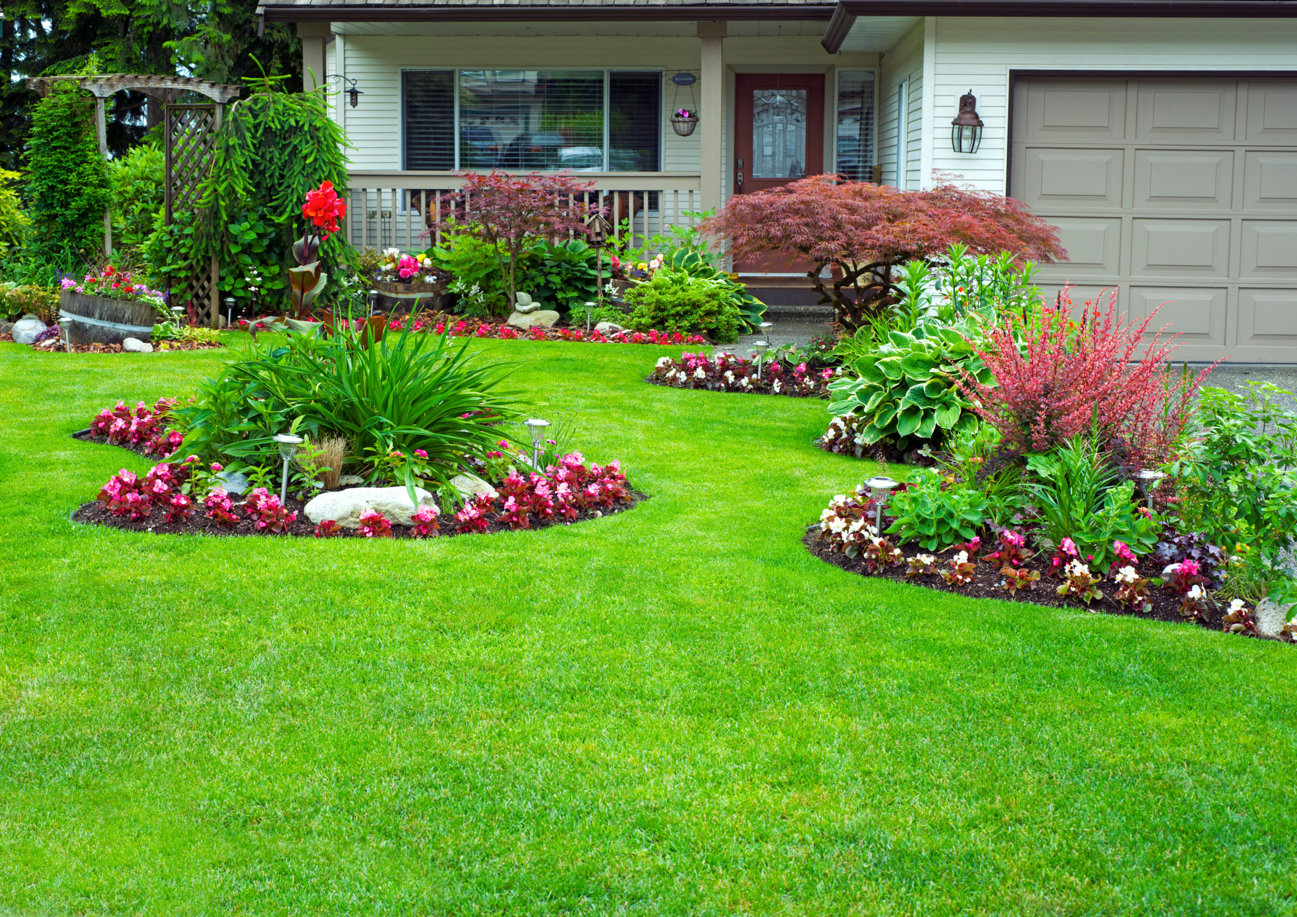 landscaped lawn and garden