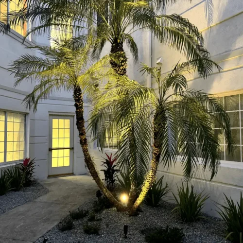 Custom outdoor lighting installation showcase by Grasshoppers in the in the greater Orlando area