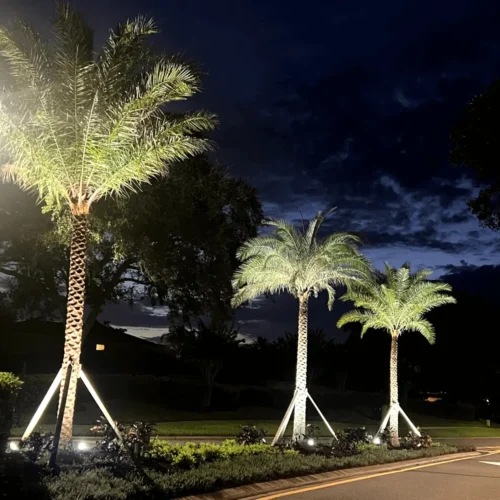 Outdoor lighting installation by Grasshoppers in the in the greater Orlando area