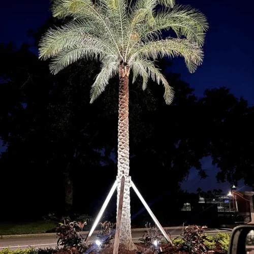 Outdoor lighting on a palm tree by Grasshoppers in the in the greater Orlando area