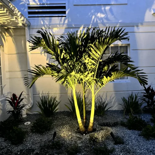 Custom outdoor lighting installation showcase by Grasshoppers in the in the greater Orlando area