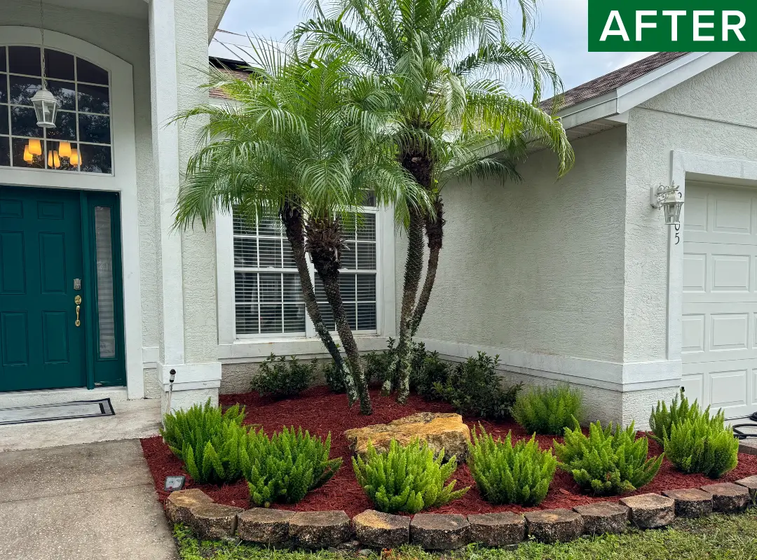 Homeowner's Lawn after receiving landscaping service by Grasshoppers in the greater Orlando area