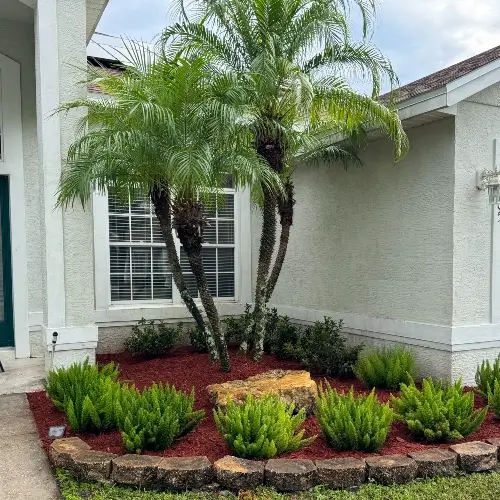 Homeowner's Lawn after receiving landscaping service by Grasshoppers in the greater Orlando area