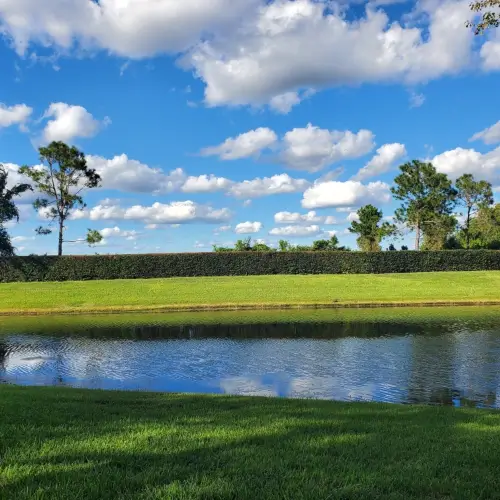 Freshly trimmed hedges by Grasshoppers near a communal pond in the in the greater Orlando area