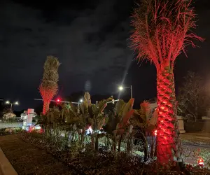 Color changing outdoor lights. Grasshoppers installs professional outdoor lights for your home or business, including color changing lights.