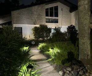 Residential landscape lighting installed by Grasshoppers in Florida. Is professional landscape lighting worth it? Find out what you need to know about outdoor lighting from the experts at Grasshoppers.