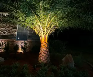 Grasshoppers offers many types of outdoor lights for any yard. Contact us today to find the right outdoor lights for you.