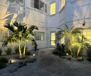 Newly installed outdoor lights under palms in Florida. The cost of outdoor lighting can vary depending on several factors. Contact Grasshoppers to get a quote for your outdoor lighting needs.