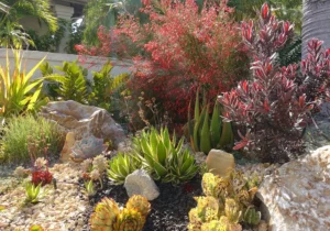 Florida xeriscape with a variety of flowering plants and decorative rocks.