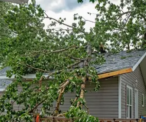 large branch fallen on roof of florida house that could have been avoided with hurricane tree readiness