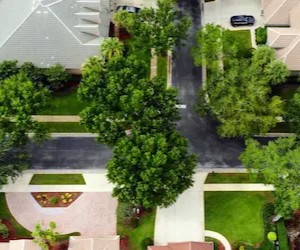 hoa-lawn-hero (1)