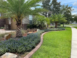 Florida home with HOA-compliant landscaping