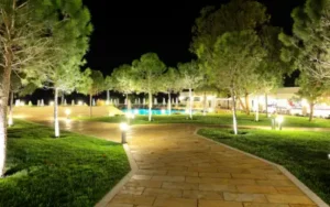 commercial lighting design for florida hotel illuminates trees and pathway