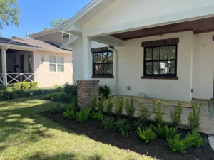 Florida backyard after Grasshoppers service