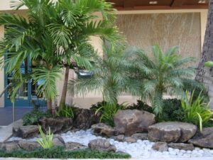 Florida landscaping with palm trees