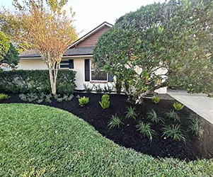 Wide shot of a Florida home backyard, after landscaping with Grasshoppers