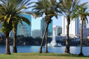 happy and healthy florida palm trees with background of lake eola and orlando