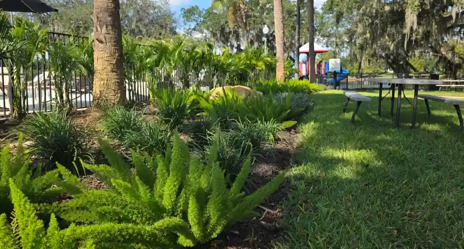 A professionally maintained garden bed outside a pool area in an HOA community