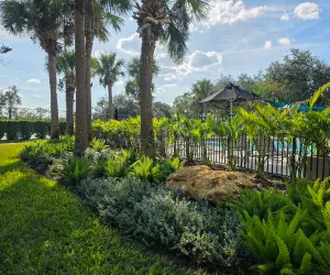A neatly landscaped yard in an HOA community. Call Grasshoppers for your HOA lawn maintenance and landscaping needs in Florida.