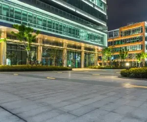 dramatic lighting design for florida office building highlights trees and facade